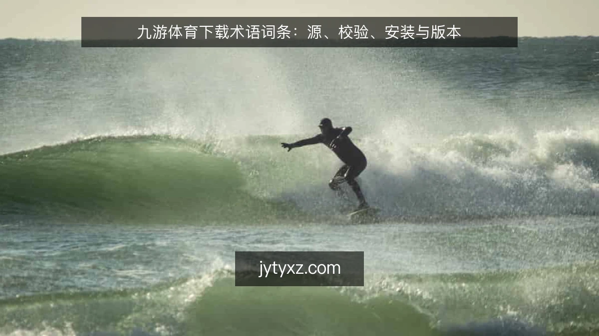 九游体育下载术语词条：源、校验、安装与版本