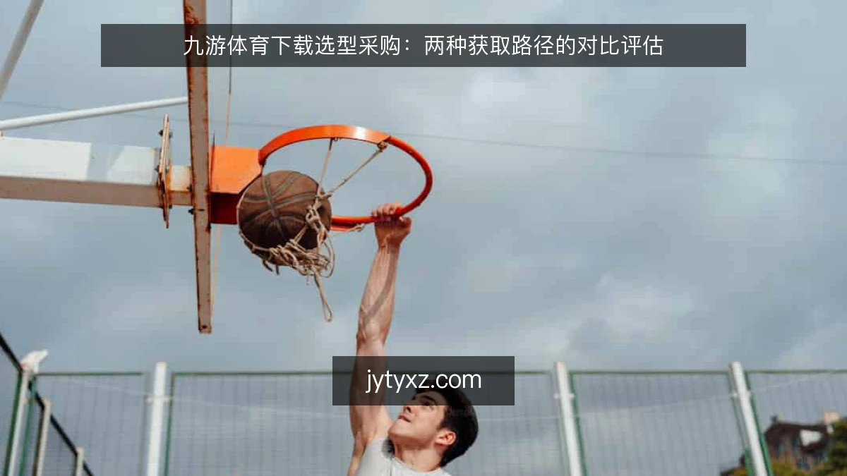 九游体育下载选型采购:两种获取路径的对比评估