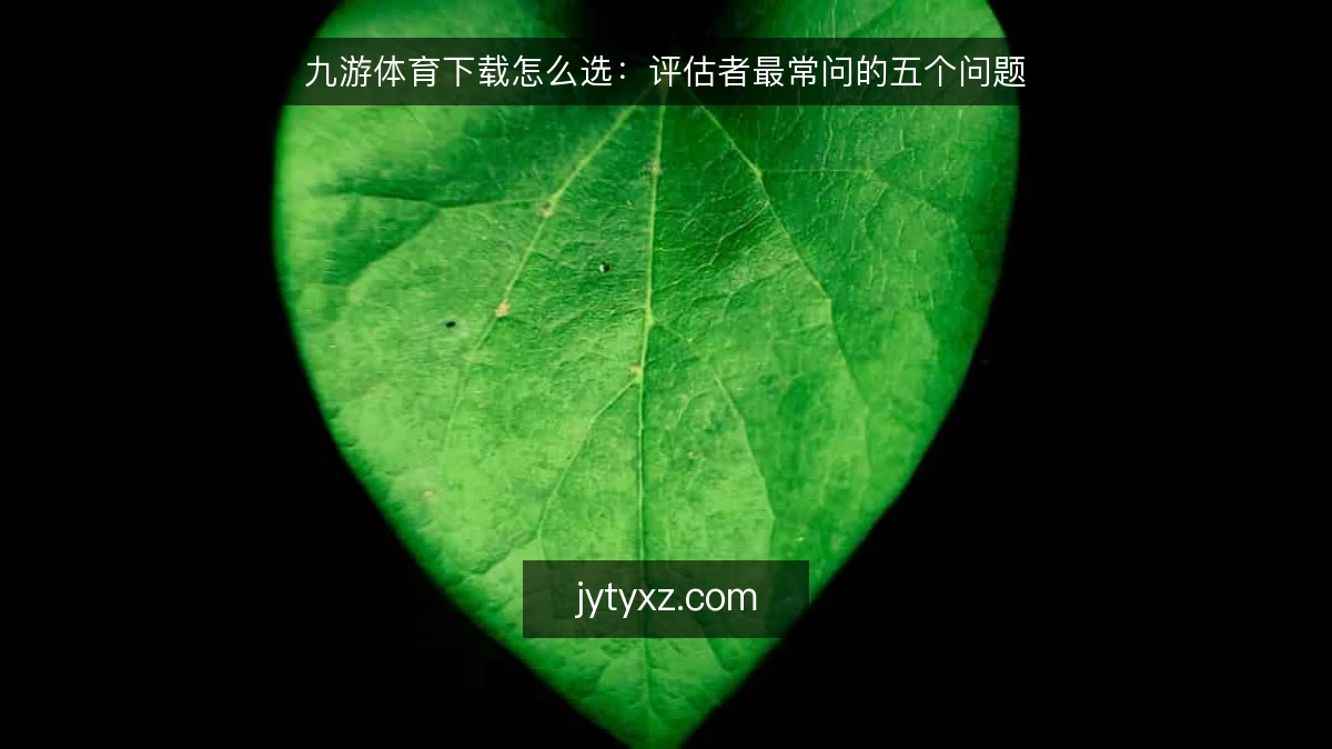九游体育下载怎么选:评估者最常问的五个问题