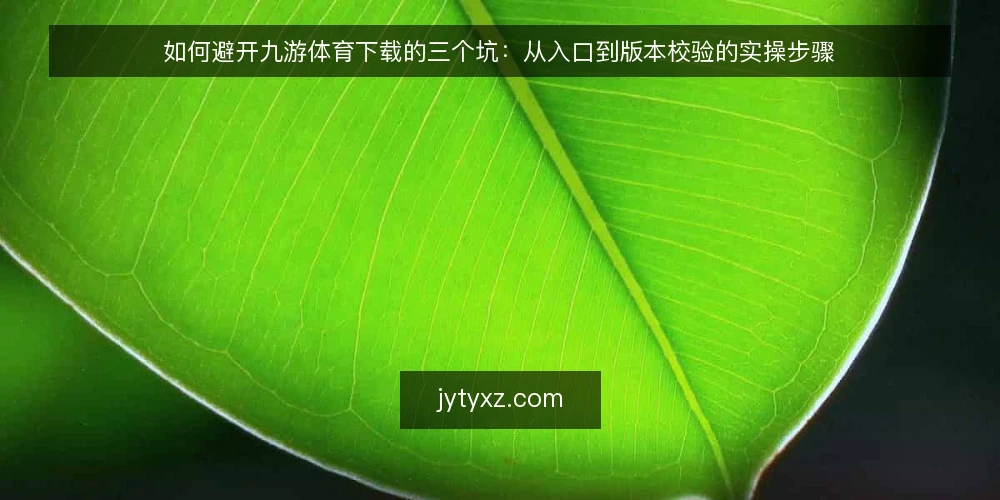 如何避开九游体育下载的三个坑:从入口到版本校验的实操步骤 — 先准备:把入口与设备条件摆清楚 配图